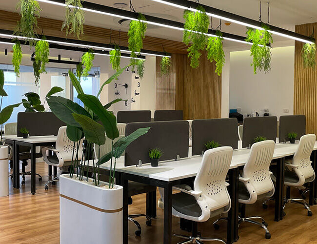 Privet Office in 6th of october