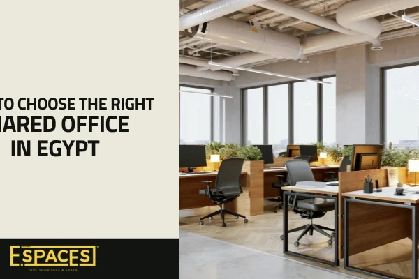 How to Choose the Right Shared Office in Egypt